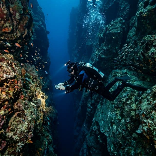 غواص بحث وانتشال