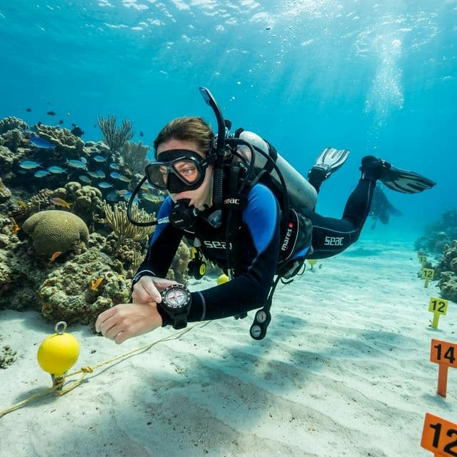 غواص ملاحة تحت الماء