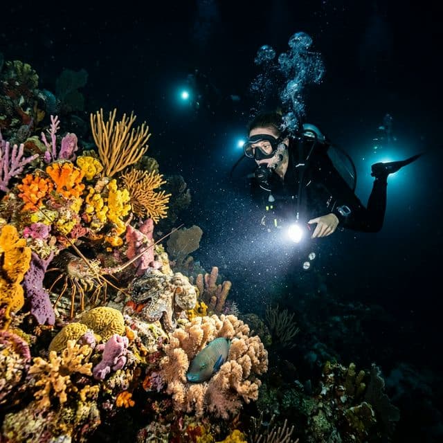 الغواص الليلي